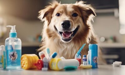 dog teeth cleaning products