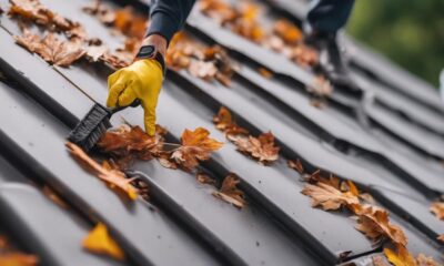 essential tools for clean gutters