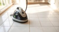 effectiveness of steam cleaning