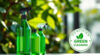 green cleaning certification significance
