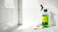 top mold and mildew removers