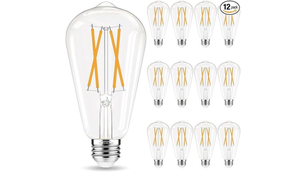 edison bulb 12 pack