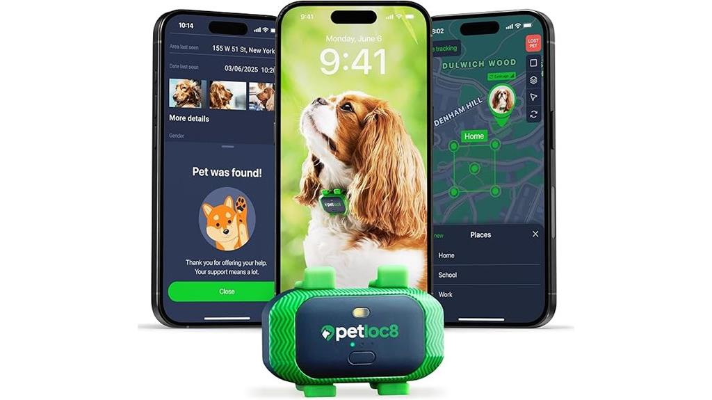 real time dog location tracker
