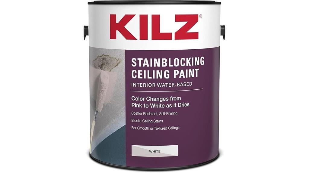 white interior ceiling paint