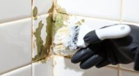 clean mold off bathroom caulk