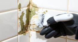 clean mold off bathroom caulk