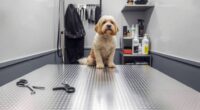 top pet grooming tables