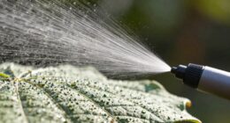 electrostatic sprayer coverage myth