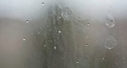 prevent hard water spots