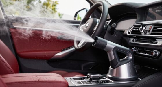 top steam cleaners for cars