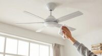 pre winter ceiling fan cleaning