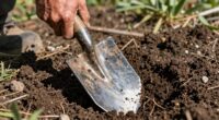 proper tools for soil
