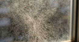 recycling releases trapped dust