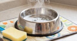 safe pet bowl cleaning