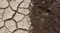 soil moisture affects approach