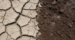 soil moisture affects approach
