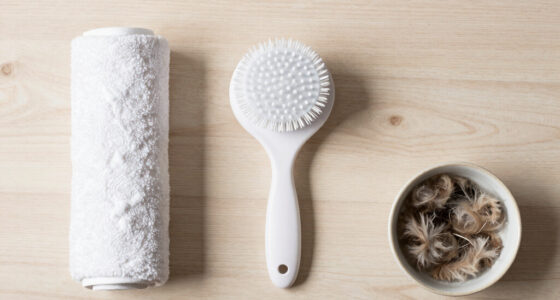 10 Best Pet Hair Remover Brushes in 2026