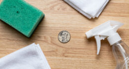 That Dime in Your Pocket Might Be Worth 10 Cents, or a Whole Lot More