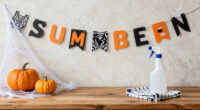 14 Best Summerweeen Decorations in 2026