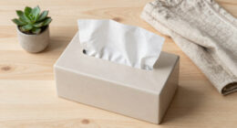 14 Best Tissue Box Covers in 2026