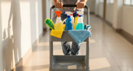 14 Best Utility Carts in 2026