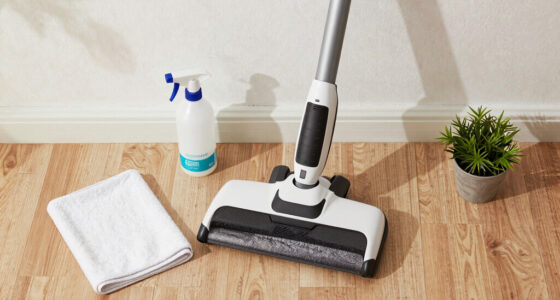 15 Best Commercial Carpet Extractors in 2026