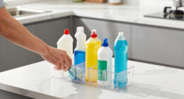 7 Best Counter Organizers in 2026