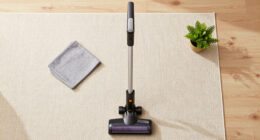 15 Best Cordless Stick Vacuums for Carpets in 2026