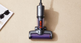 Cordless Handheld Vacuum Cleaners: A Halloween Guide
