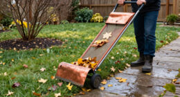 Skip Traditional Rakes: The Tool That Makes Cleaning Up Leaves Faster & Easier